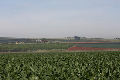 Farm For Sale in Bronkhorstspruit, Bronkhorstspruit